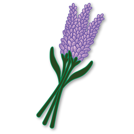 Cut-Out Cards - Lavender - Flower Of Serenity