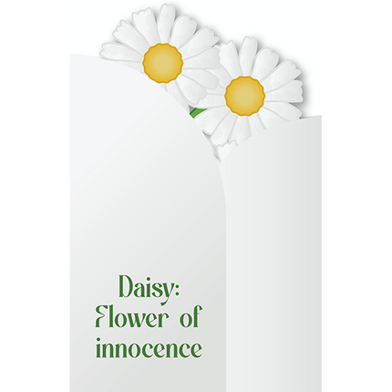 Cut-Out Cards - Daisy - Flower Of Innocence