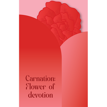Cut-Out Cards - Carnation - Flower Of Devotion