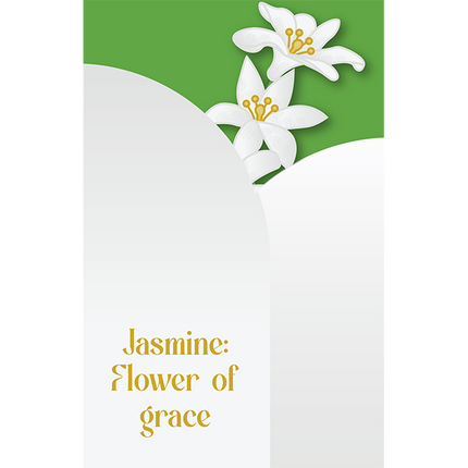 Cut-Out Cards - Jasmine - Flower Of Grace