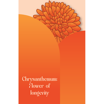 Cut-Out Cards - Chrysanthemum - Flower Of Longevity
