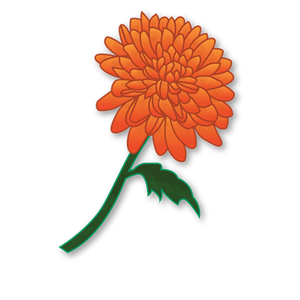 Cut-Out Cards - Chrysanthemum - Flower Of Longevity