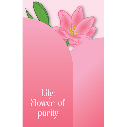 Cut-Out Cards - Lily - Flower Of Purity
