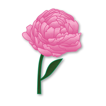 Cut-Out Cards - Peony - Flower Of Posperity