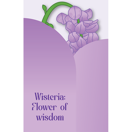 Cut-Out Cards - Wisteria - Flower Of Wisdom