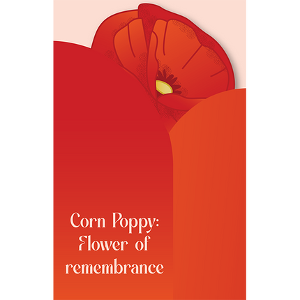 Cut-Out Cards - Corn Poppy - Flower Of Remembrance