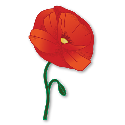 Cut-Out Cards - Corn Poppy - Flower Of Remembrance