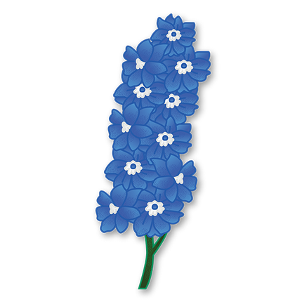 Cut-Out Cards - Larkspur - Flower Of Lightheartedness