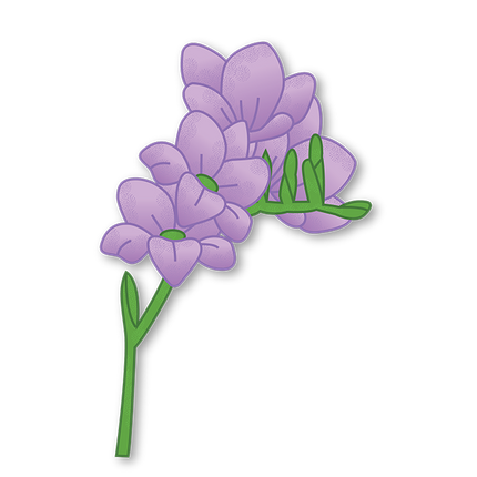 Cut-Out Cards - Freesia - Flower Of Friendship