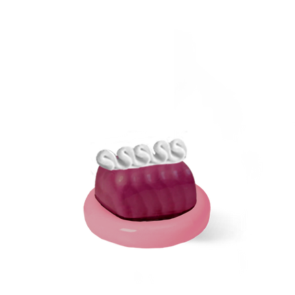 Storage Container - Cake