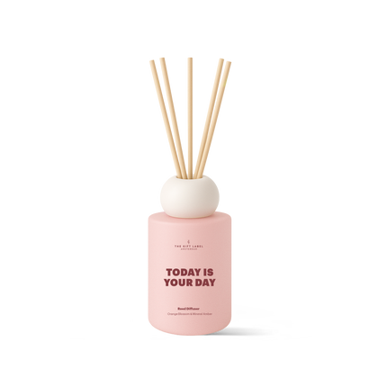 Frosted Reed Diffuser 100ml - STUDIO - Today Is Your Day