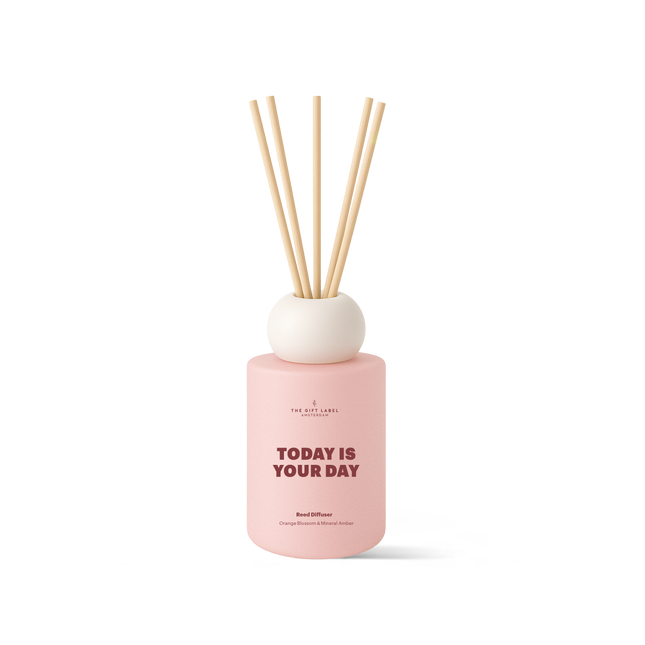Frosted Reed Diffuser 100ml - STUDIO - Today Is Your Day