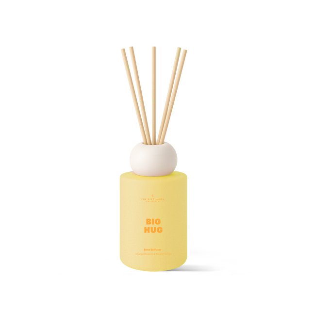 Frosted Reed Diffuser 100ml - STUDIO - Big Hug