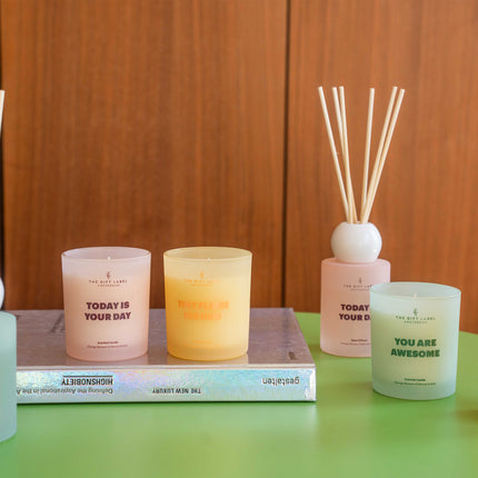 Frosted Reed Diffuser 100ml - STUDIO - Big Hug