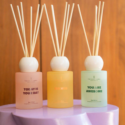 Frosted Reed Diffuser 100ml - STUDIO - Big Hug