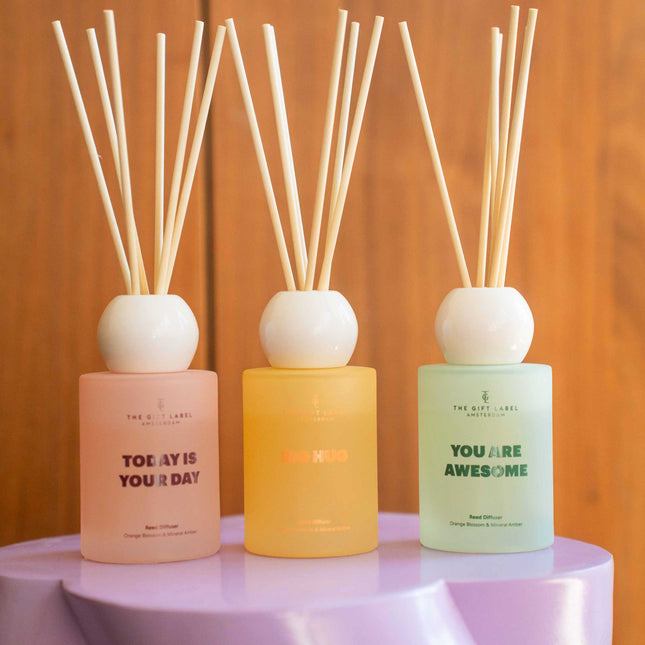 Frosted Reed Diffuser 100ml - STUDIO - Today Is Your Day