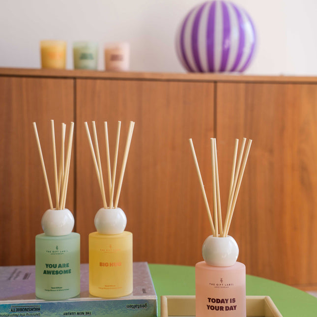Frosted Reed Diffuser 100ml - STUDIO - Today Is Your Day