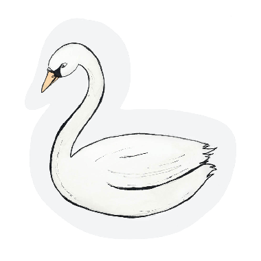 Cut-out card - Swan
